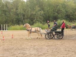 img_9496_web